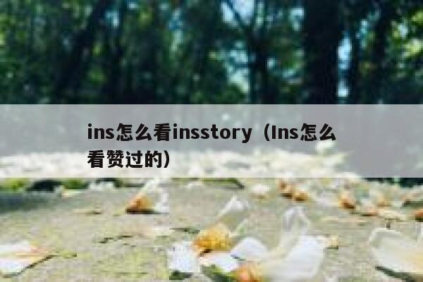 ins怎么看insstory（Ins怎么看赞过的） 第1张