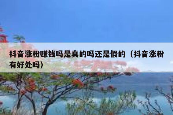 抖音涨粉赚钱吗是真的吗还是假的（抖音涨粉有好处吗） 第1张