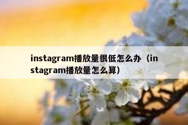 instagram播放量很低怎么办（instagram播放量怎么算） 第1张