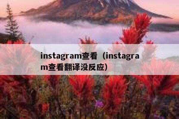 instagram查看（instagram查看翻译没反应） 第1张