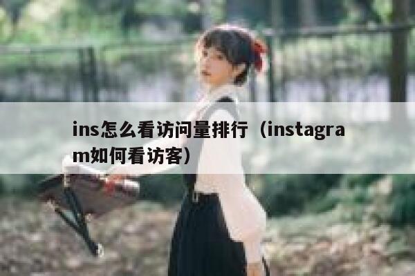 ins怎么看访问量排行（instagram如何看访客） 第1张