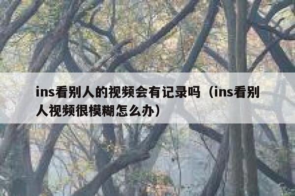 ins看别人的视频会有记录吗（ins看别人视频很模糊怎么办） 第1张