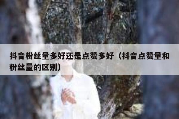 抖音粉丝量多好还是点赞多好（抖音点赞量和粉丝量的区别） 第1张