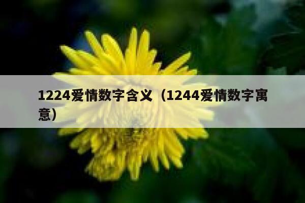 1224爱情数字含义（1244爱情数字寓意） 第1张