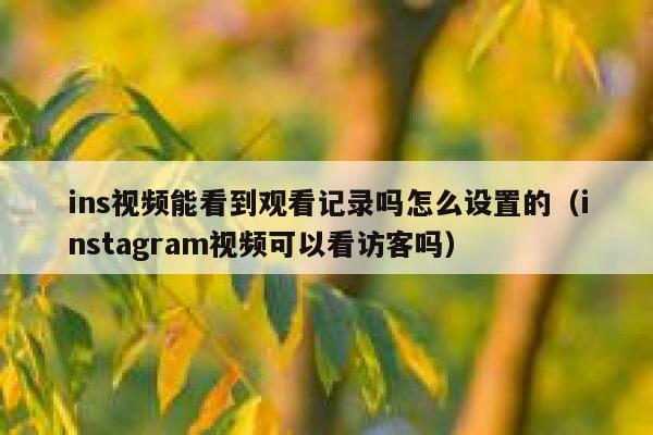 ins视频能看到观看记录吗怎么设置的（instagram视频可以看访客吗） 第1张