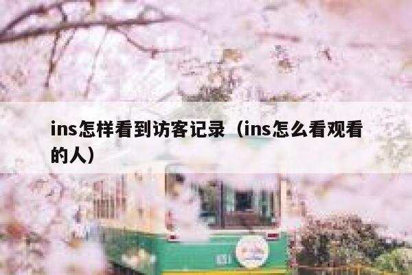 ins怎样看到访客记录（ins怎么看观看的人） 第1张