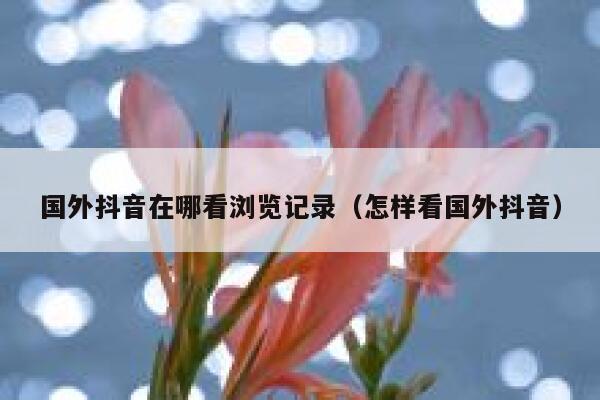 国外抖音在哪看浏览记录（怎样看国外抖音） 第1张