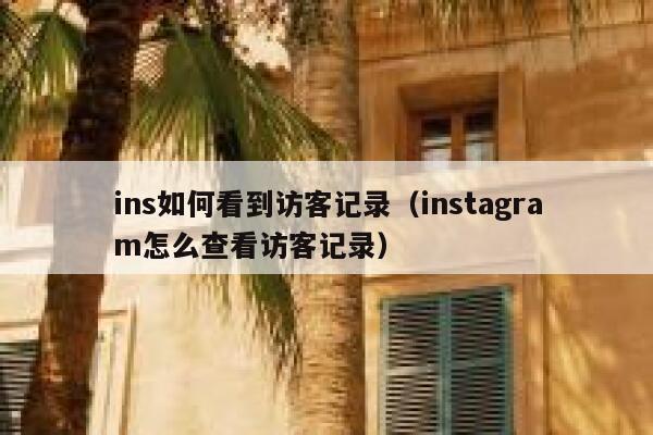 ins如何看到访客记录(instagram怎么查看访客记录) 第1张 ins如何看到访客记录(instagram怎么查看访客记录) 第1张