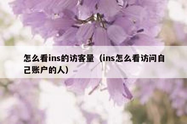 怎么看ins的访客量（ins怎么看访问自己账户的人） 第1张