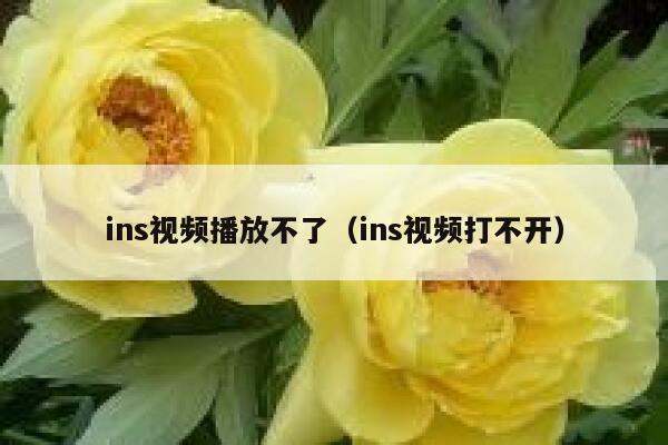 ins视频播放不了（ins视频打不开） 第1张
