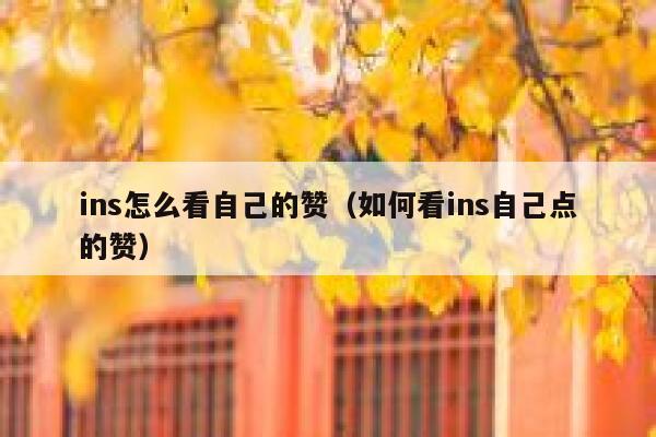 ins怎么看自己的赞(如何看ins自己点的赞) 第1张 ins怎么看自己的赞(如何看ins自己点的赞) 第1张