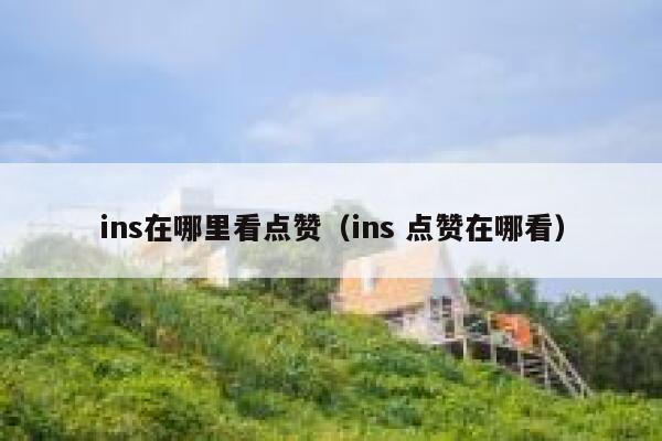 ins在哪里看点赞（ins 点赞在哪看） 第1张