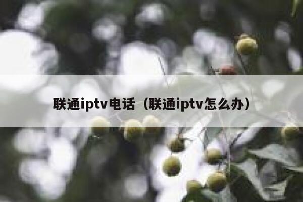联通iptv电话（联通iptv怎么办） 第1张