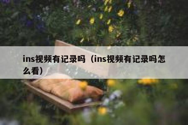 ins视频有记录吗（ins视频有记录吗怎么看） 第1张