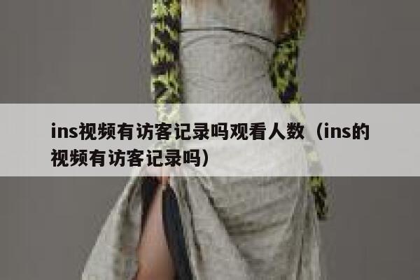 ins视频有访客记录吗观看人数（ins的视频有访客记录吗） 第1张