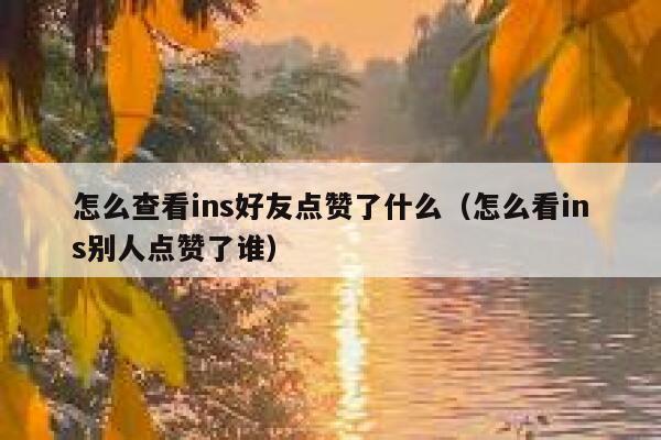 怎么查看ins好友点赞了什么（怎么看ins别人点赞了谁） 第1张
