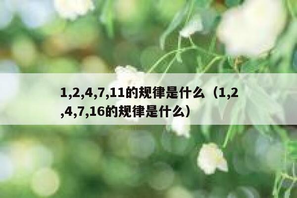 1,2,4,7,11的规律是什么(1,2,4,7,16的规律是什么) 第1张 1,2,4,7,11的规律是什么(1,2,4,7,16的规律是什么) 第1张
