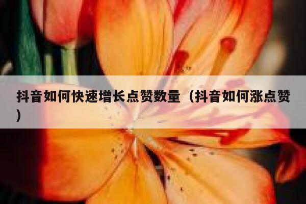 抖音如何快速增长点赞数量（抖音如何涨点赞） 第1张