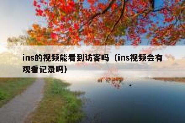 ins的视频能看到访客吗（ins视频会有观看记录吗） 第1张
