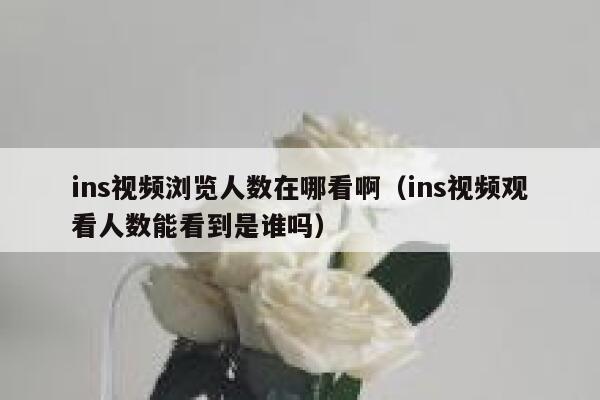 ins视频浏览人数在哪看啊（ins视频观看人数能看到是谁吗） 第1张