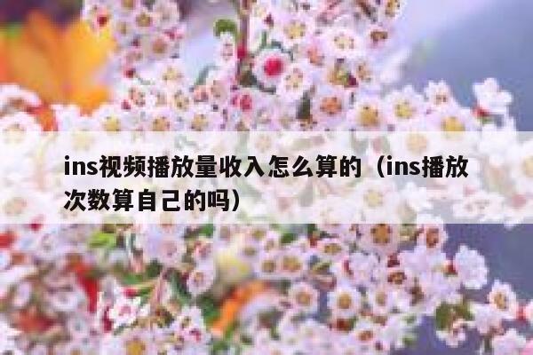 ins视频播放量收入怎么算的（ins播放次数算自己的吗） 第1张