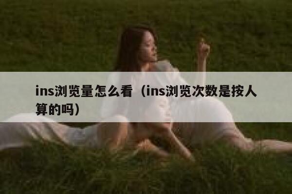 ins浏览量怎么看（ins浏览次数是按人算的吗） 第1张