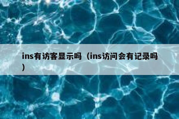 ins有访客显示吗（ins访问会有记录吗） 第1张