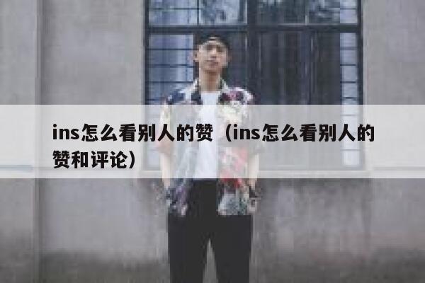 ins怎么看别人的赞（ins怎么看别人的赞和评论） 第1张