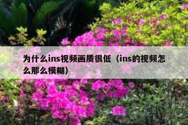 为什么ins视频画质很低（ins的视频怎么那么模糊） 第1张