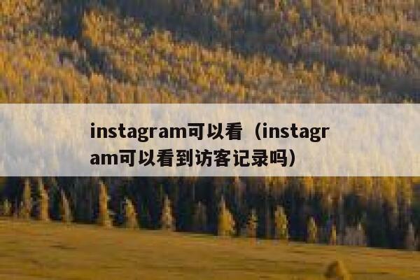 instagram可以看（instagram可以看到访客记录吗） 第1张