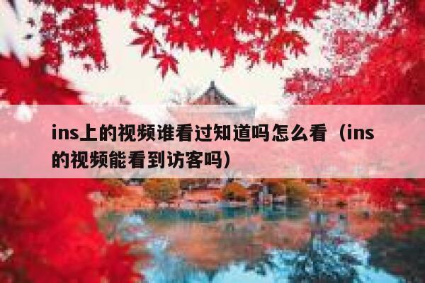 ins上的视频谁看过知道吗怎么看（ins的视频能看到访客吗） 第1张
