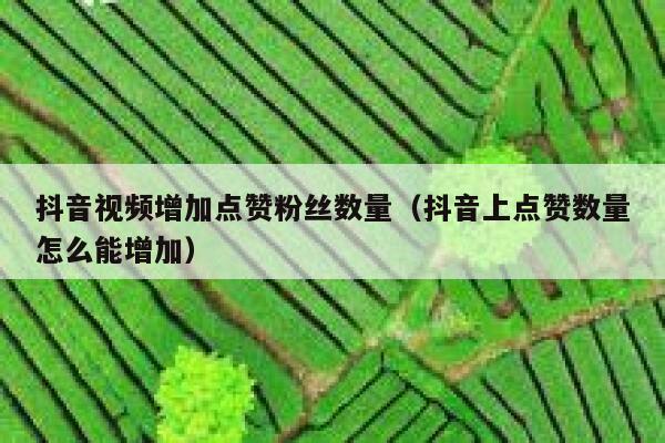 抖音视频增加点赞粉丝数量（抖音上点赞数量怎么能增加） 第1张