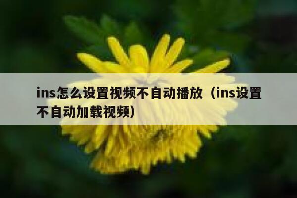 ins怎么设置视频不自动播放(ins设置不自动加载视频) 第1张 ins怎么设置视频不自动播放(ins设置不自动加载视频) 第1张