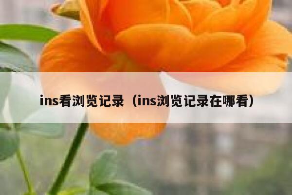 ins看浏览记录（ins浏览记录在哪看） 第1张