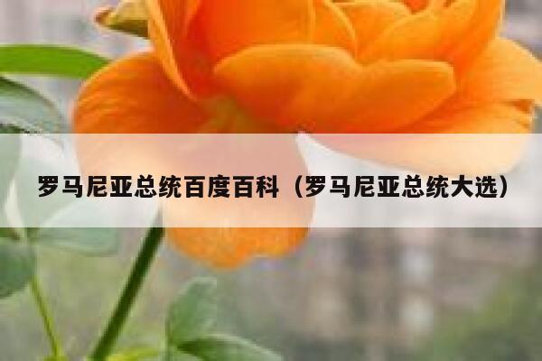 罗马尼亚总统百度百科(罗马尼亚总统大选) 第1张 罗马尼亚总统百度百科(罗马尼亚总统大选) 第1张