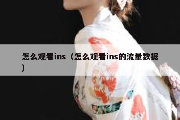 怎么观看ins（怎么观看ins的流量数据） 第1张