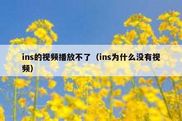 ins的视频播放不了（ins为什么没有视频） 第1张