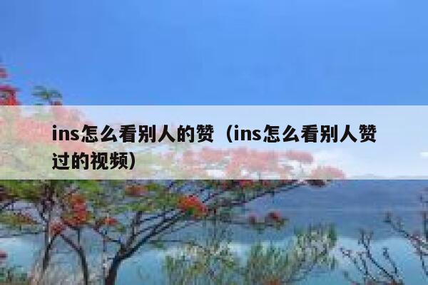 ins怎么看别人的赞（ins怎么看别人赞过的视频） 第1张