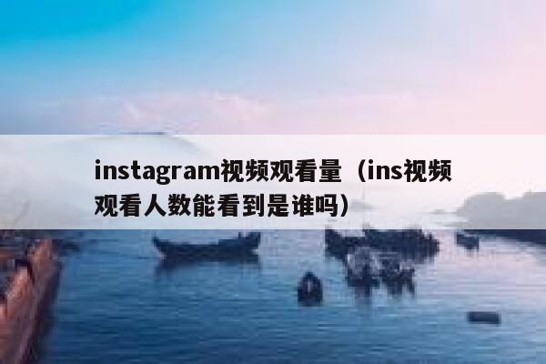 instagram视频观看量（ins视频观看人数能看到是谁吗） 第1张
