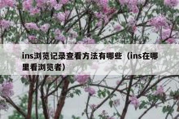 ins浏览记录查看方法有哪些（ins在哪里看浏览者） 第1张