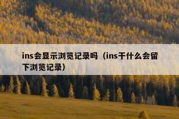 ins会显示浏览记录吗（ins干什么会留下浏览记录） 第1张