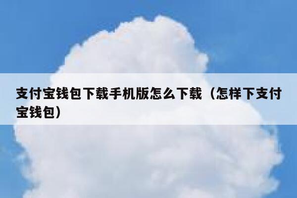 支付宝钱包下载手机版怎么下载（怎样下支付宝钱包） 第1张