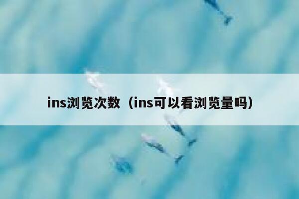 ins浏览次数（ins可以看浏览量吗） 第1张