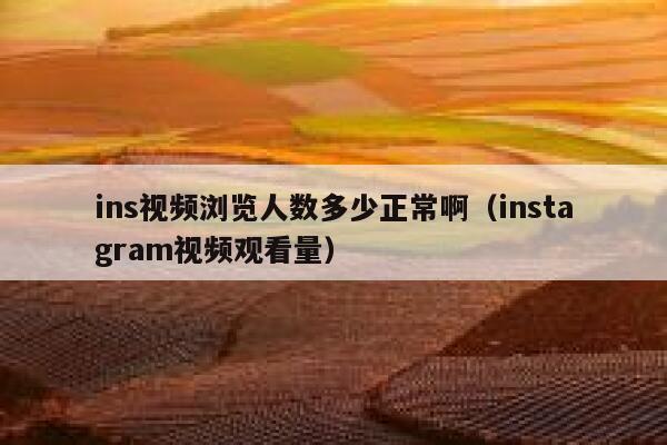 ins视频浏览人数多少正常啊（instagram视频观看量） 第1张