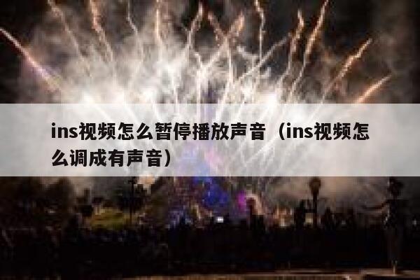 ins视频怎么暂停播放声音（ins视频怎么调成有声音） 第1张