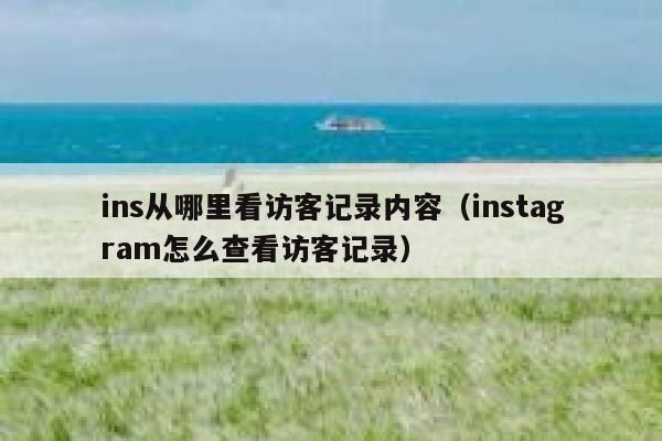 ins从哪里看访客记录内容（instagram怎么查看访客记录） 第1张