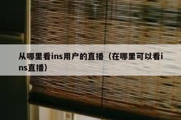从哪里看ins用户的直播（在哪里可以看ins直播） 第1张