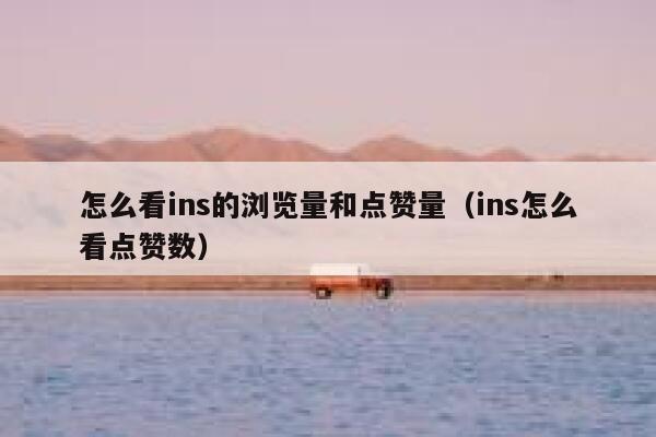 怎么看ins的浏览量和点赞量（ins怎么看点赞数） 第1张