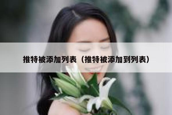 推特被添加列表(推特被添加到列表) 第1张 推特被添加列表(推特被添加到列表) 第1张