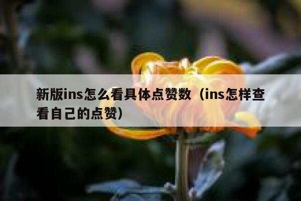 新版ins怎么看具体点赞数（ins怎样查看自己的点赞） 第1张